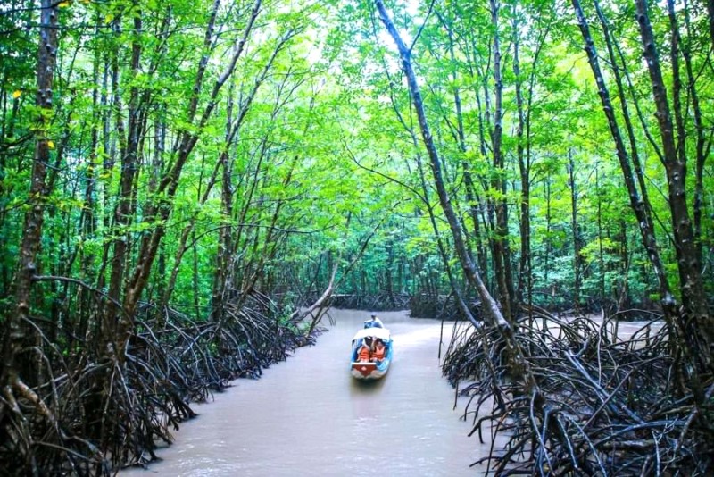 Cà Mau: Vùng đất trù phú, quà tặng thiên nhiên.