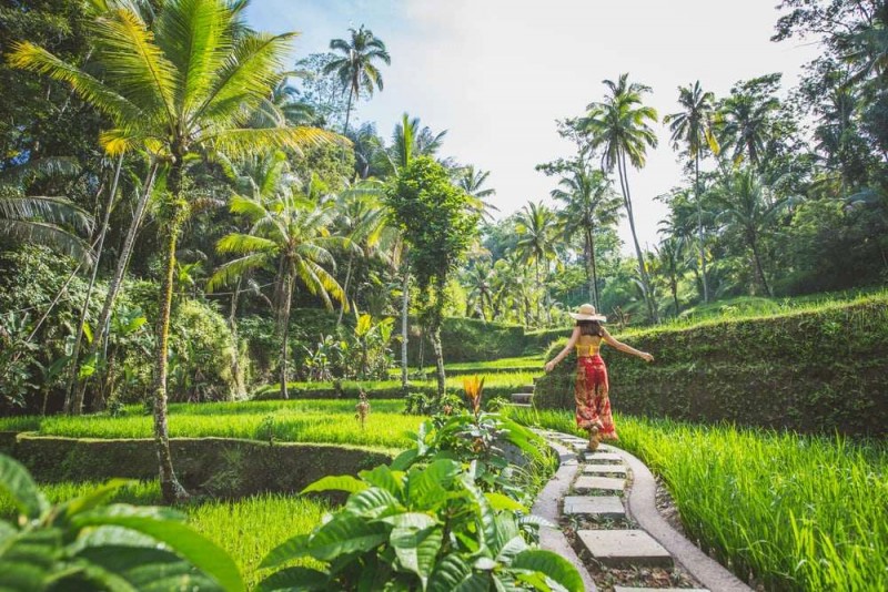 Khám phá Ubud lần đầu: Kinh nghiệm du lịch.