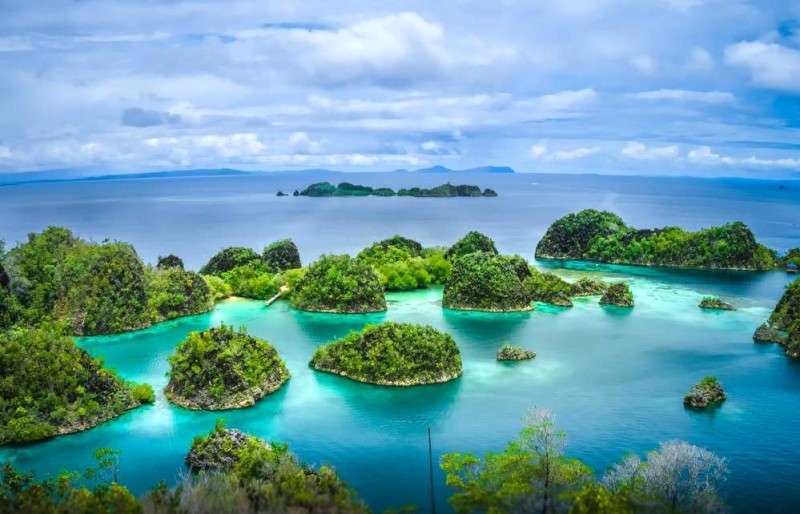 Raja Ampat: Vẻ đẹp hoang sơ, tinh khiết.