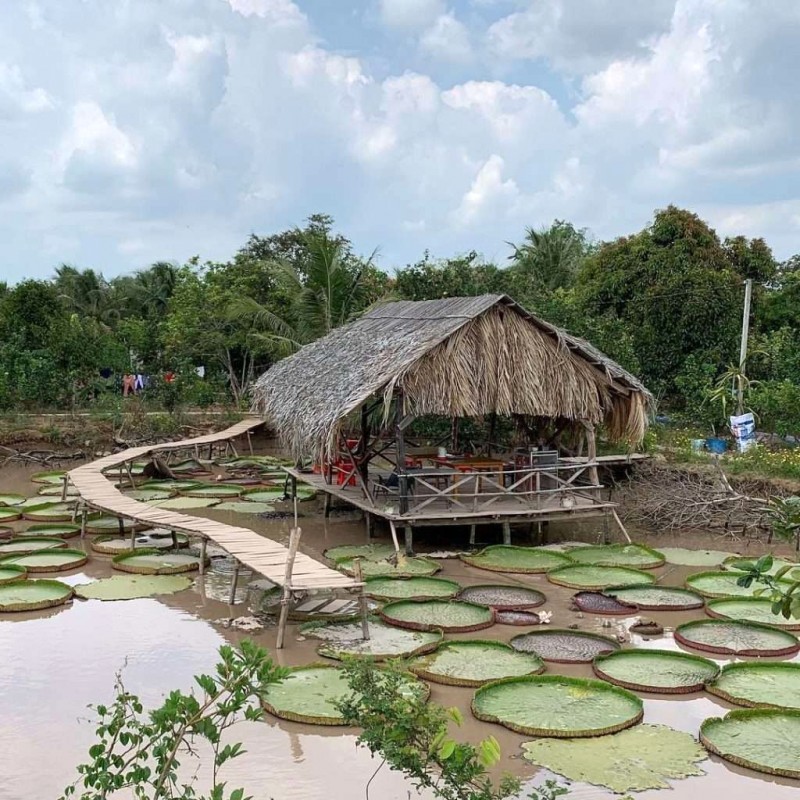 Bình yên Cồn Sơn, Cần Thơ @internet