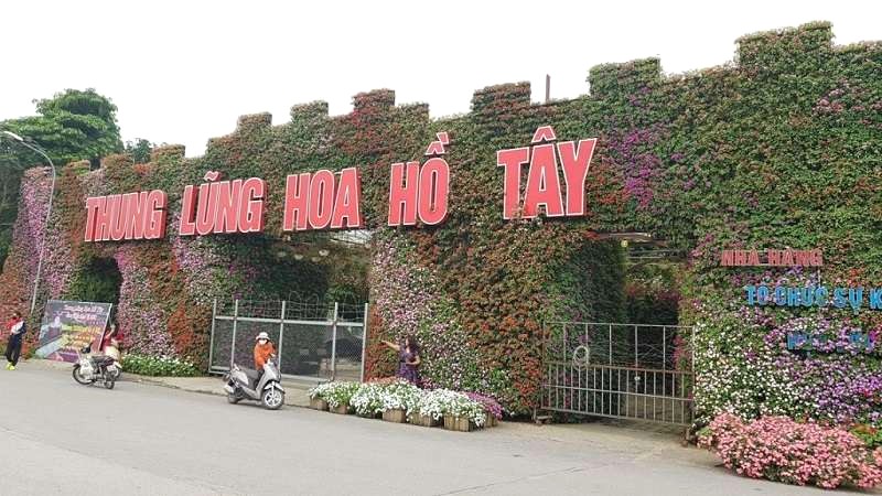 Hồ Tây: Thung lũng hoa.