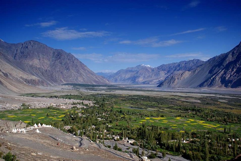 Núbra: Thung lũng trù phú của Ladakh.