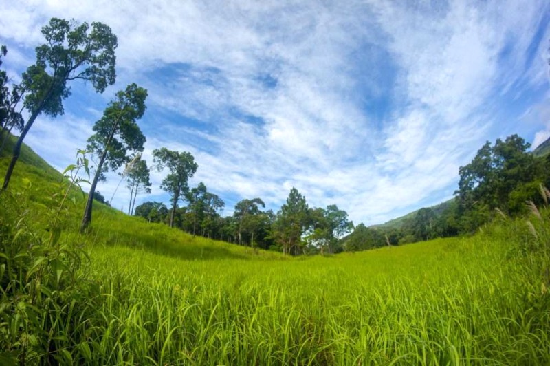 Chúng ta đã ở vùng xanh thẳm.