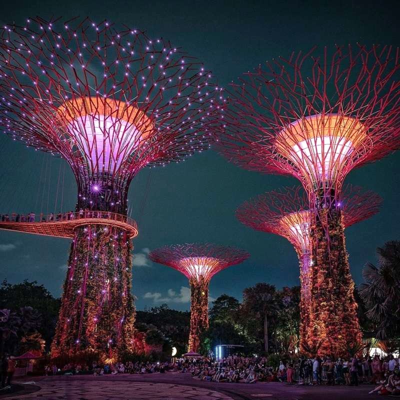 ## Gardens By The Bay lung linh huyền ảo về đêm ✨ @ayoros7