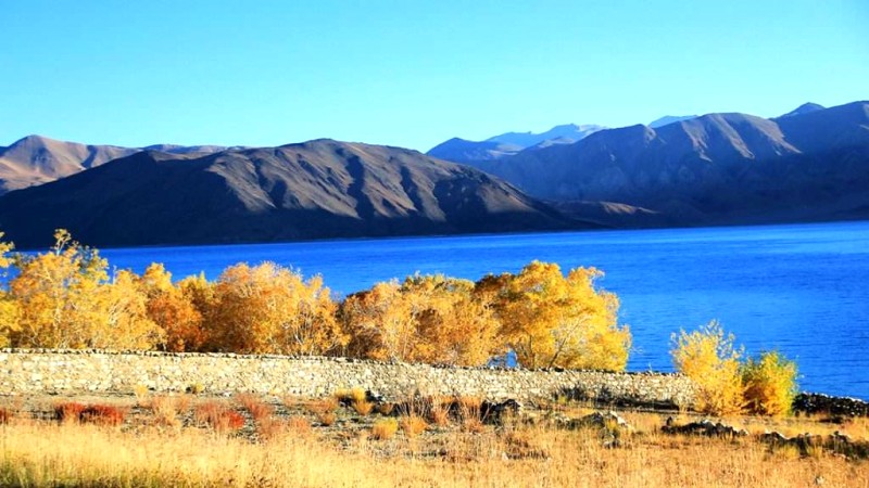 Ladakh rực rỡ nhất vào thu.