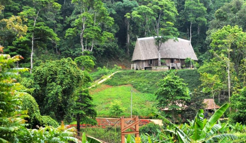 Không gian trong lành ở Măng Đen mang đến sự an nhiên và thanh thản cho tâm hồn.