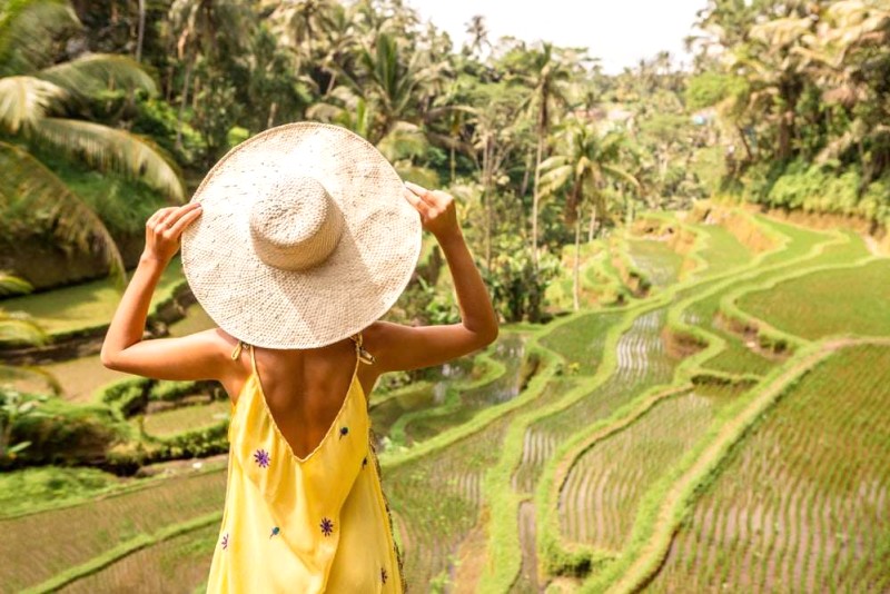 Ubud, Bali: Khung hình điện ảnh @shutterstock