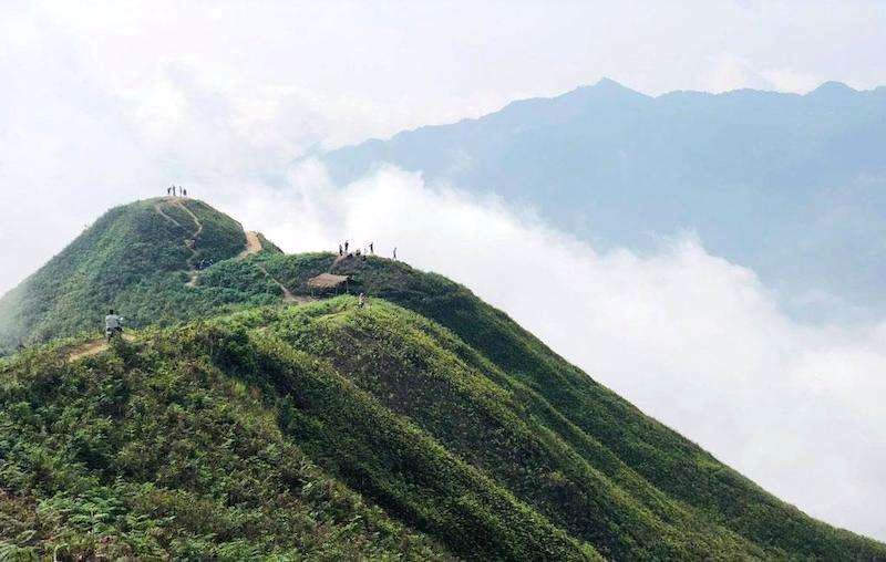 Sống lưng khủng long Tà Xua: Săn mây đỉnh cao Bắc Yên.