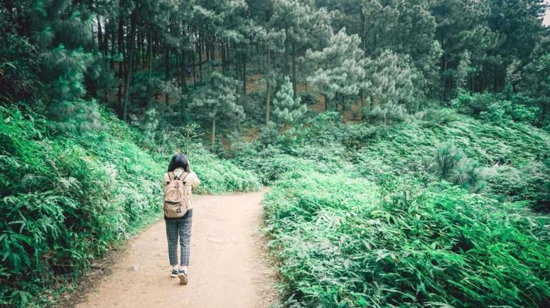 Khung cảnh nên thơ, bầu không khí trong lành.