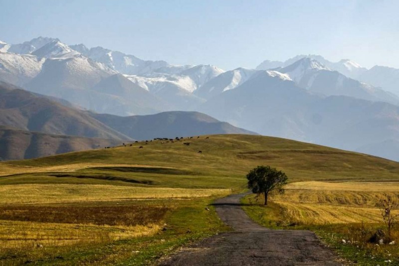 Kyrgyzstan đẹp nhất vào thu.