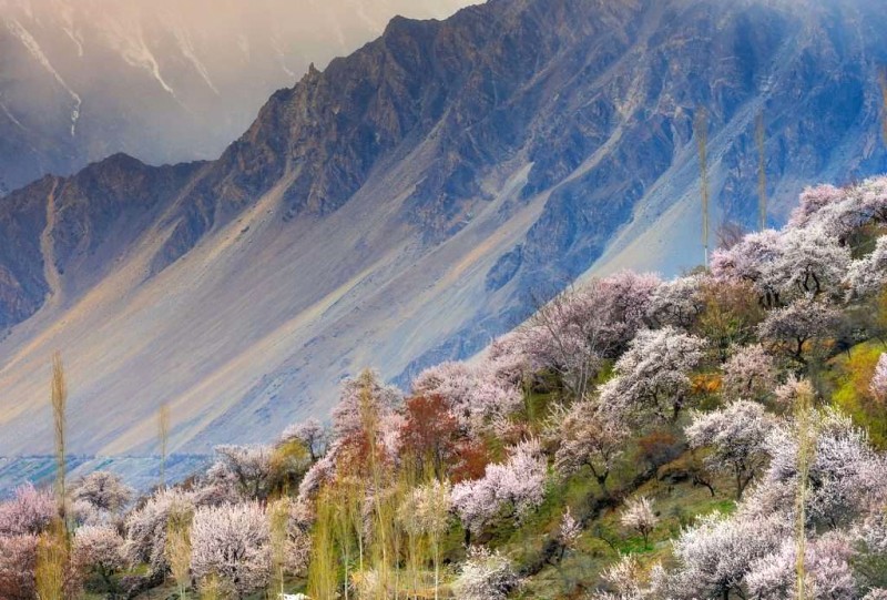 Mùa xuân ở Hunza