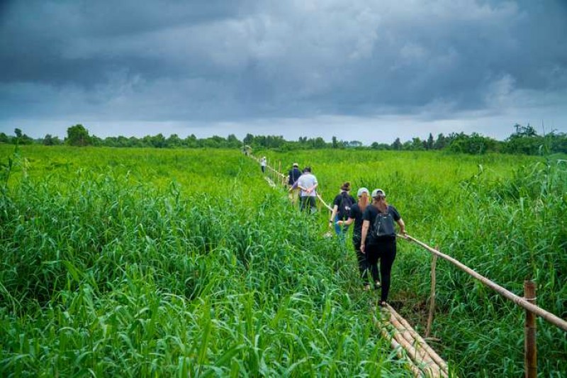 U Minh Thượng đẹp nhất từ tháng 8 đến tháng 11.