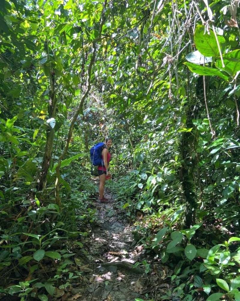 Trekking Gunung Mulu: Trải nghiệm tuyệt vời! @ctcoffman9