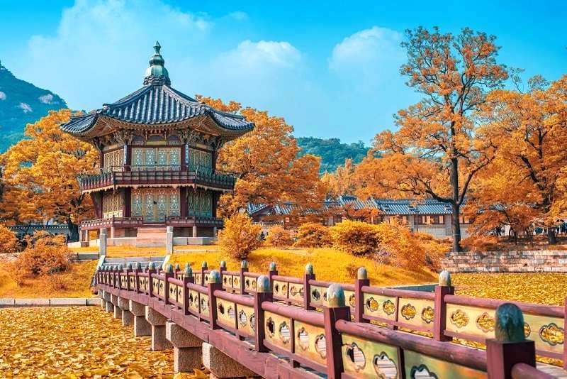 Vé du lịch Hàn Quốc: Giá đa dạng.