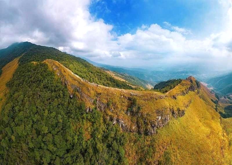 Khủng long Mẫu Sơn: Toàn cảnh sống lưng.