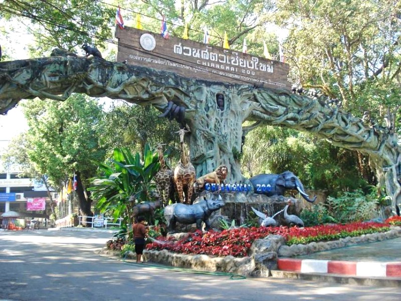 Thảo cầm viên Chiang Mai.@Sưu tầm