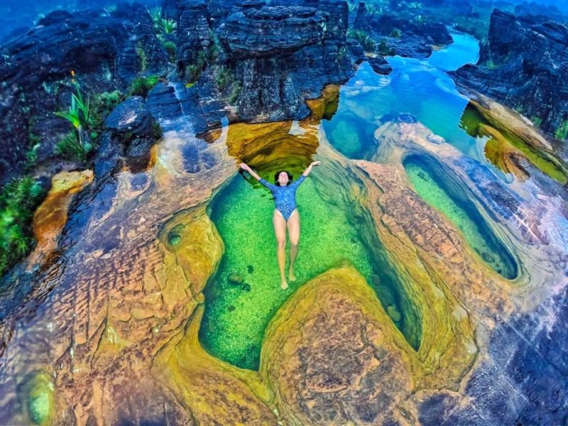 Đỉnh Mesa Roraima: Đầm đá vôi kỳ vĩ.