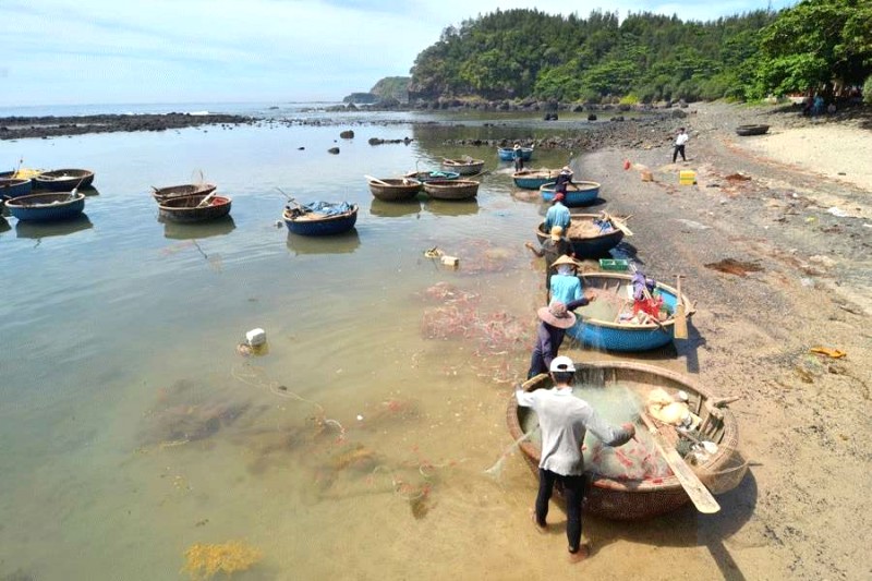 Hương vị biển Quảng Ngãi, trải nghiệm khó quên! @báo Gia Lai