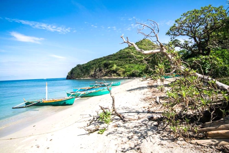 Palaui: Nét hoang sơ, thương hiệu đảo.