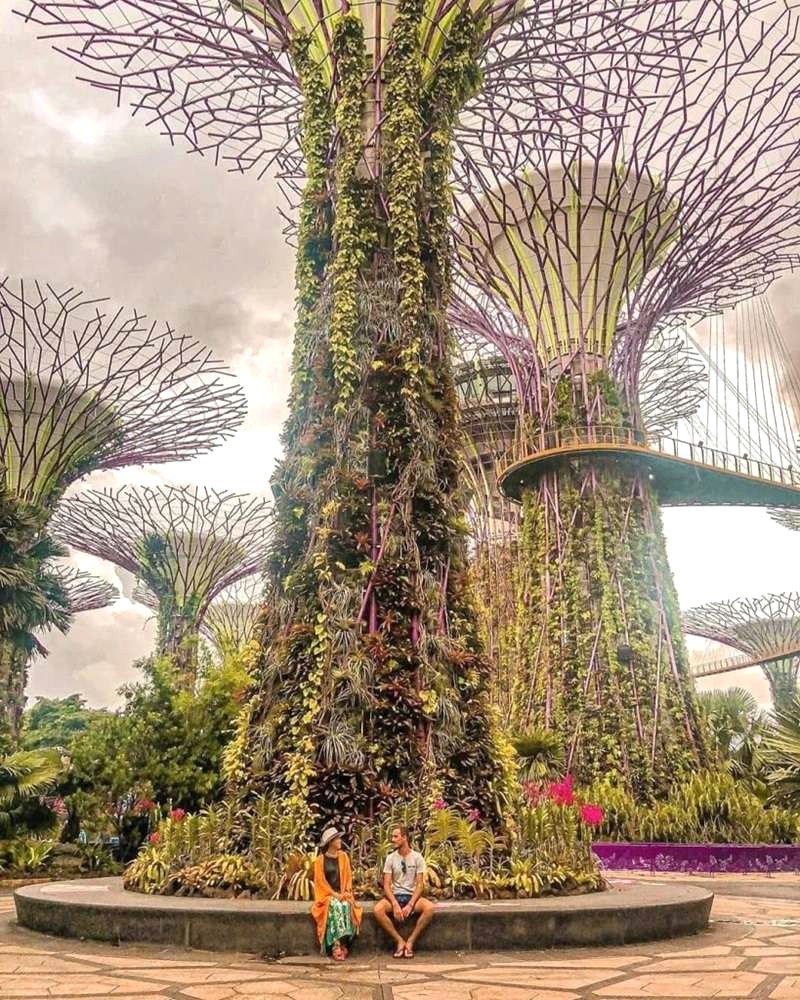 Gardens By The Bay: Không gian xanh rộng lớn của Singapore.