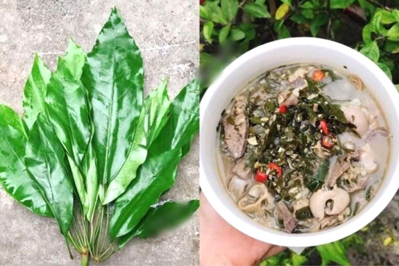 Canh tiết lá đắng: ngọt bùi khó cưỡng.