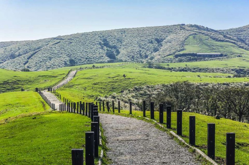 Công viên quốc gia Yangmingshan (Shutterstock)