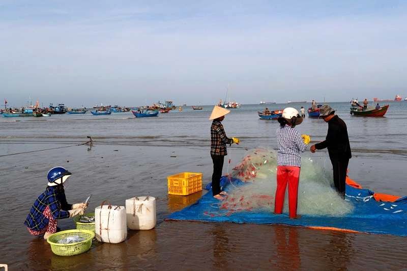 Bãi Trước Vũng Tàu thơ mộng.