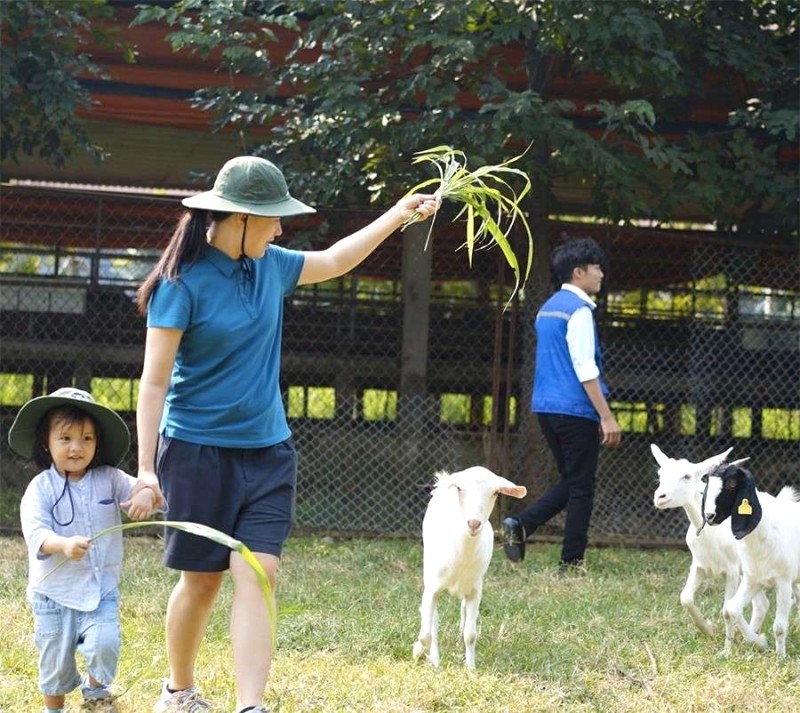 Dê Trắng Farm: Nơi lý tưởng cho các gia đình có trẻ nhỏ! @Detrang Farm