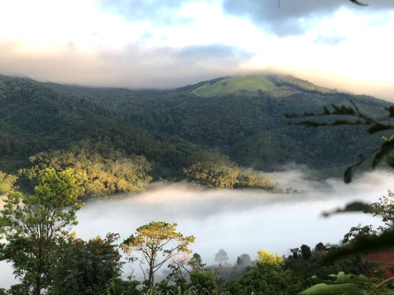 Đồi gió hú Măng Đen: Trút bỏ ưu phiền, mang về ảnh đẹp lung linh! 📸 @thịt xông khói Măng Đen