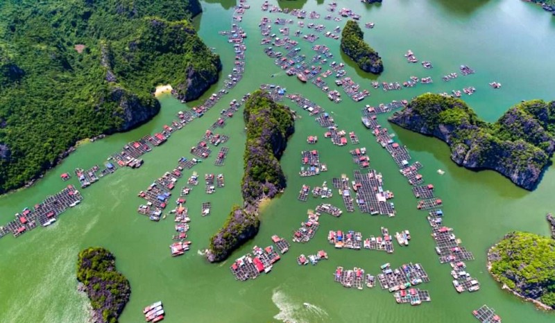 Làng chài ẩn chứa di sản quốc gia.