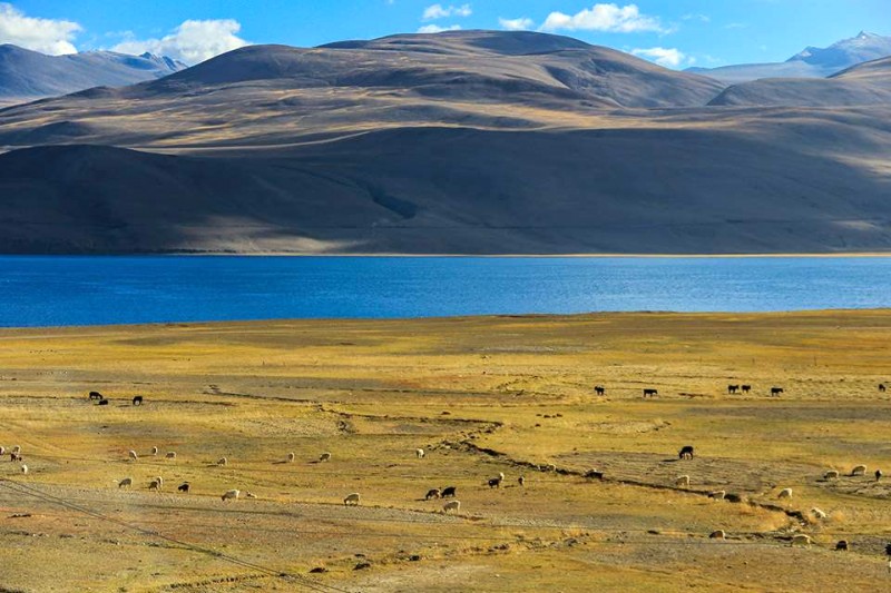 Vẻ đẹp nên thơ của hồ Pangong