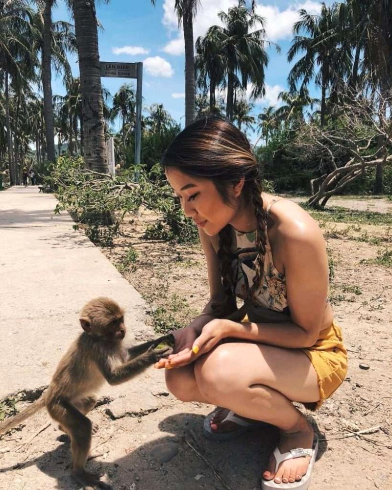 Khỉ đáng yêu trên đảo Khỉ! 🐒 @annieebui