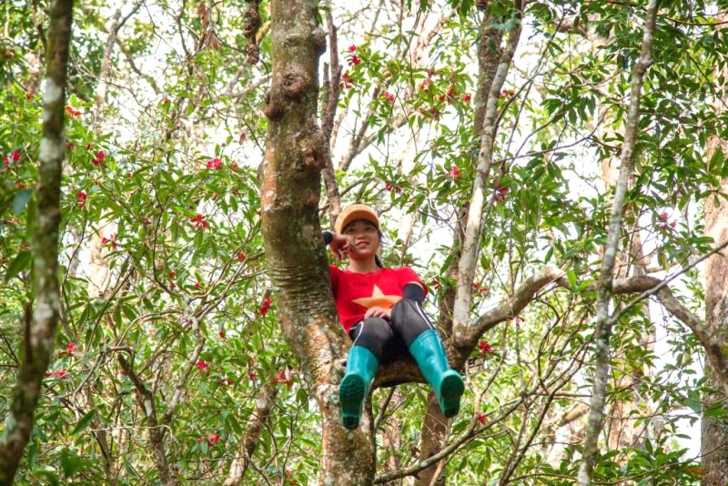 Gôn nghỉ ở đâu, chúng tôi không biết.