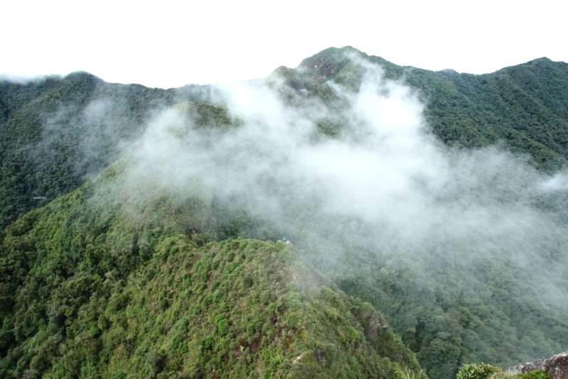 Sống khủng long hùng vỹ.