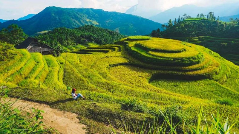 Hà Giang: Bản Phùng vàng rực.