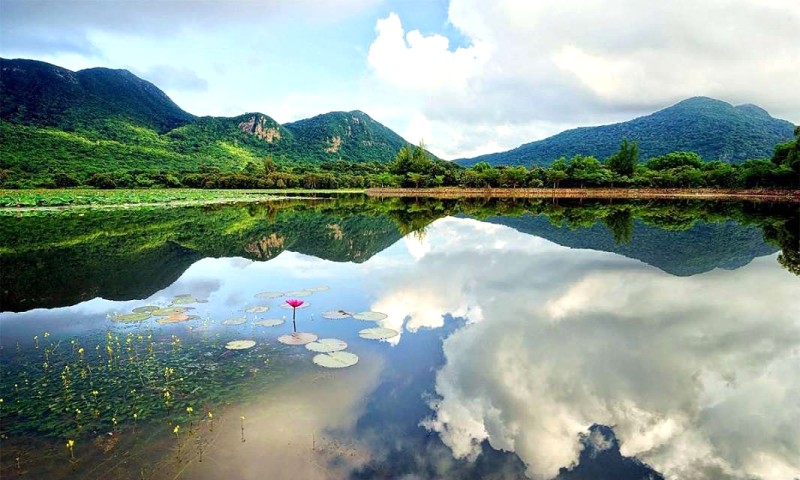 Hồ An Hải: Sen thơm giữa đảo thiêng Côn Đảo