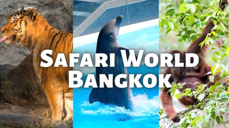 Safari World Bangkok: Phiêu lưu cho cả gia đình!