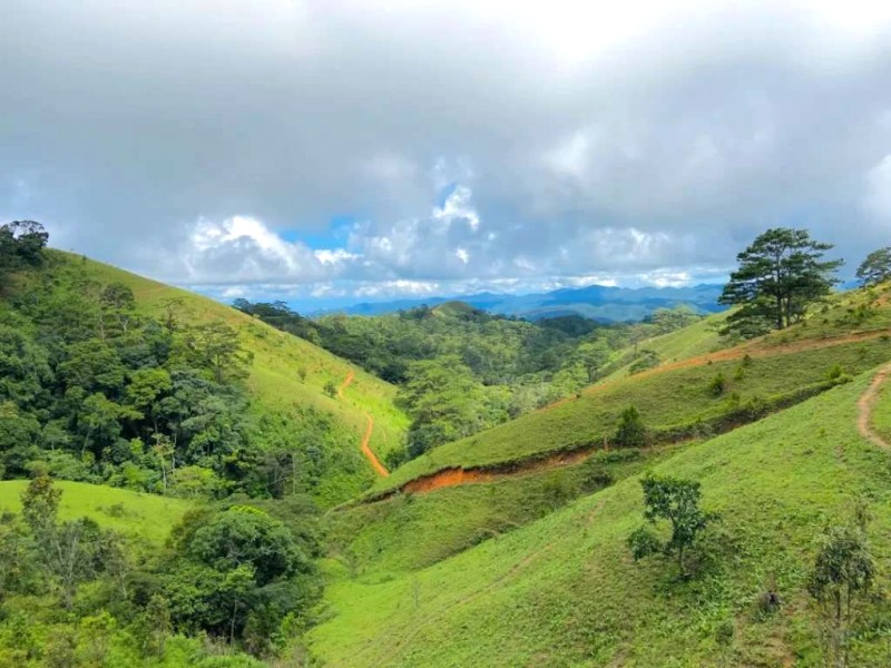 Trekking Tà Năng Phan Dũng: Mùa cỏ xanh, thiên nhiên trong lành.