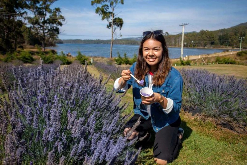 7 trải nghiệm tuyệt vời cho chuyến thăm Hobart năm 2024.