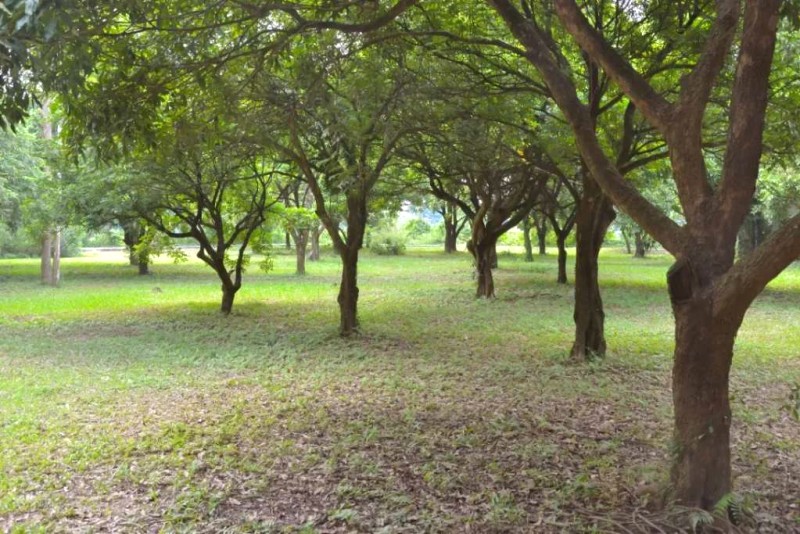 Chùa Bà Đanh: Cổ kính, linh thiêng bên sông Đáy.