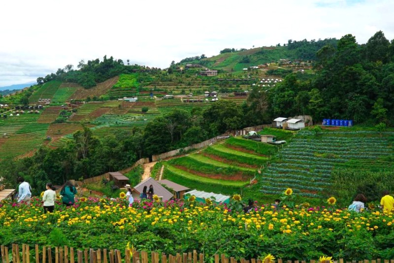 Chiang Mai 3 Ngày: Hành Trình Hút Hồn