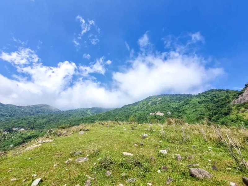 Khám phá đèo Cả, Hải Vân: Biển núi giao hòa.