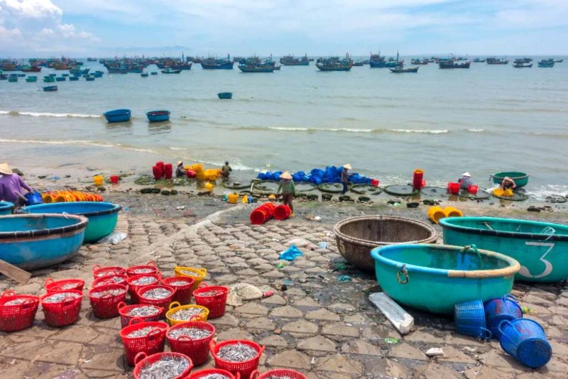 Tuy Phong nắng gió, một ngày biển.