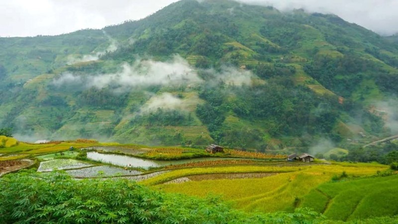 Hà Giang: Bản Phùng vàng rực.