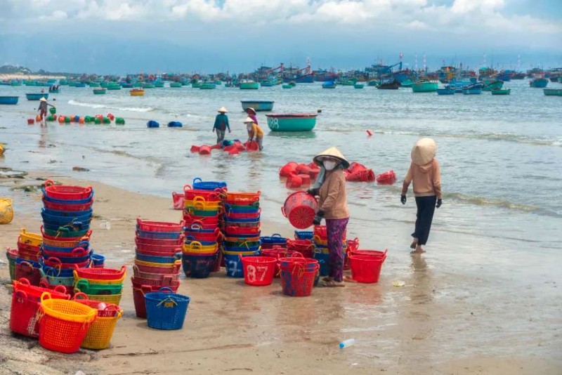 Tuy Phong: Biển đẹp một ngày nắng.