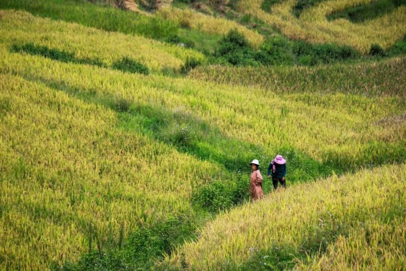 Đừng lên Y Tý chỉ để săn mây…