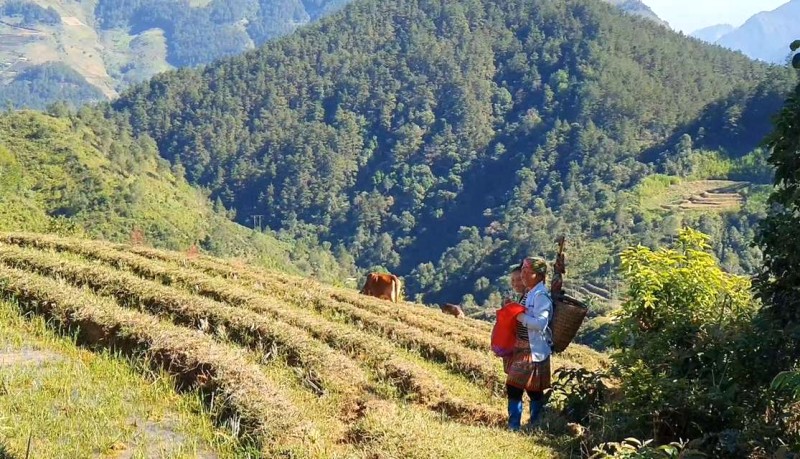 Bản Công: Tiên cảnh ẩn mình.