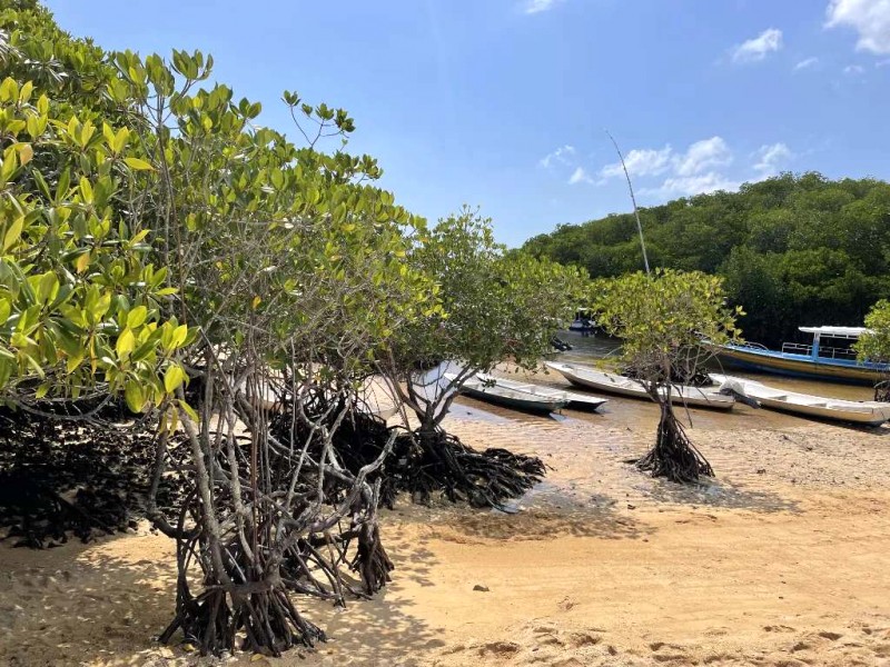 Nusa Lembongan: Viên ngọc Bali.