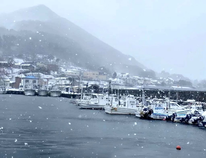 Hakodate: Hòn ngọc phía Nam Hokkaido