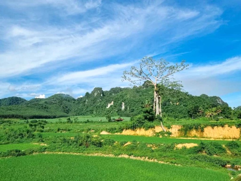 Khám phá hang động Karst & thác nước hoang sơ ở Quỳ Châu.